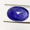 Tanzanite-20X13.5mm-20.82CTS-CabochonOval